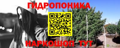 спайс Кунгур