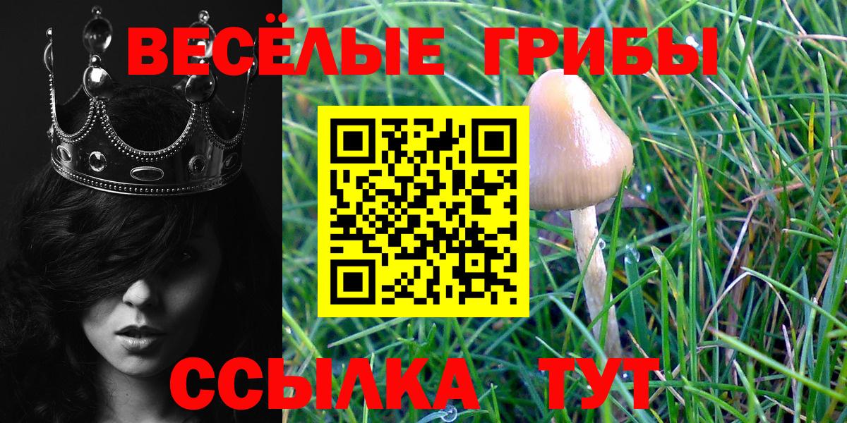 Карталы  закладки  Вход с VPN  Псилоцибиновые грибы Magic Shrooms 